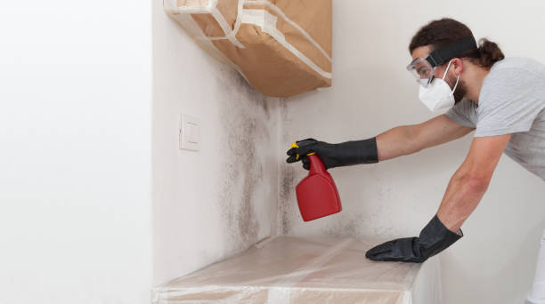 Professional Attic Mold Remediation technician working in Ledgewood, NJ